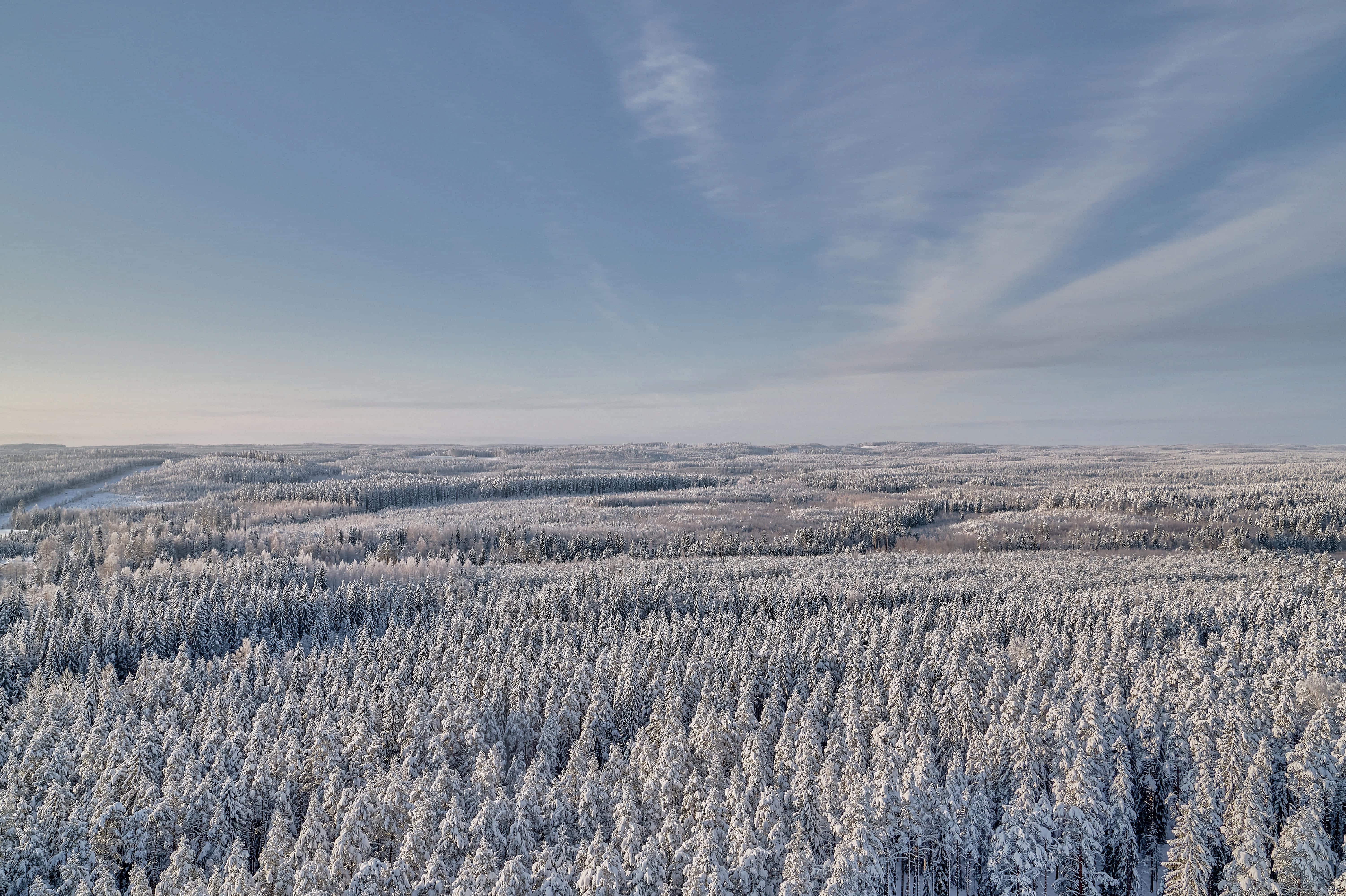 Metsä Board erneut dreifach mit CDP-Note „A“ für Transparenz im Klima-, Wasser- und Waldschutz ausgezeichnet
