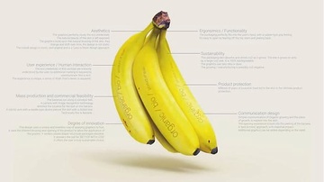 Honorary Mention_Totally Bananas by Max Gubbins